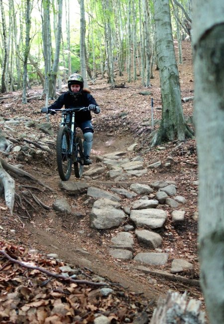 monte-tamaro-downhill-2014-6