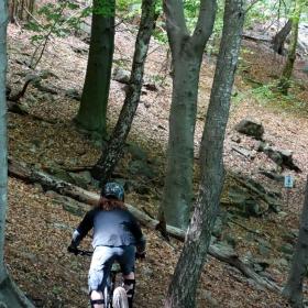 monte-tamaro-downhill-2014-7