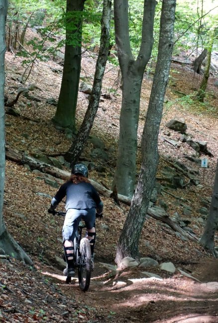 monte-tamaro-downhill-2014-7