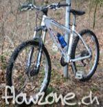 thumb_cove_stiffeefr