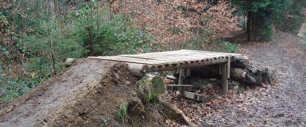 Freeride Connection - Gütschtrail - BAUTAG 17.2.2008!!!