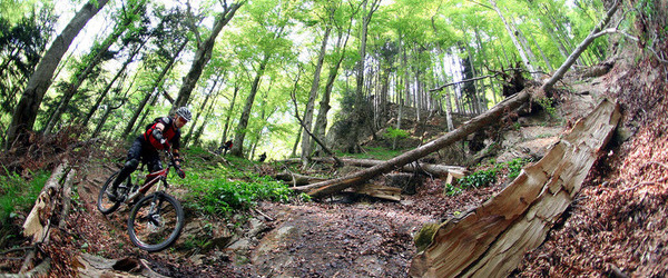 Local Spots - Home sweet Home