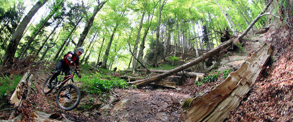 Local Spots - Neue Bilder vom Pilatus