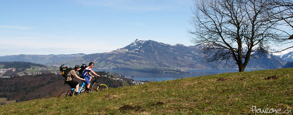 Local Spots - Home sweet Home