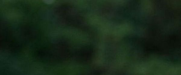 Extravaganza - Extravaganza Bilder