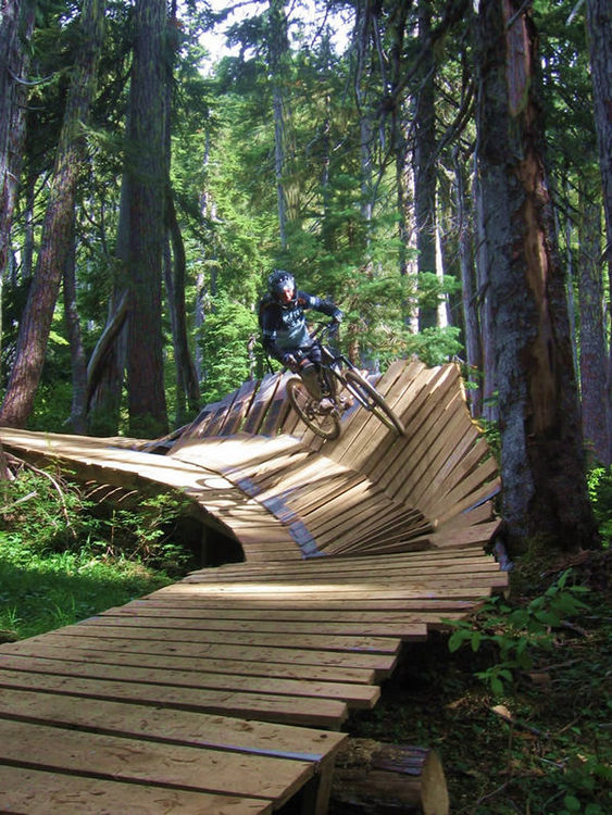 Mount Washington Bikepark Trail