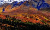 Indian Summer